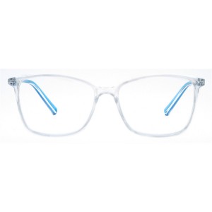 Plastic Reading Glasses